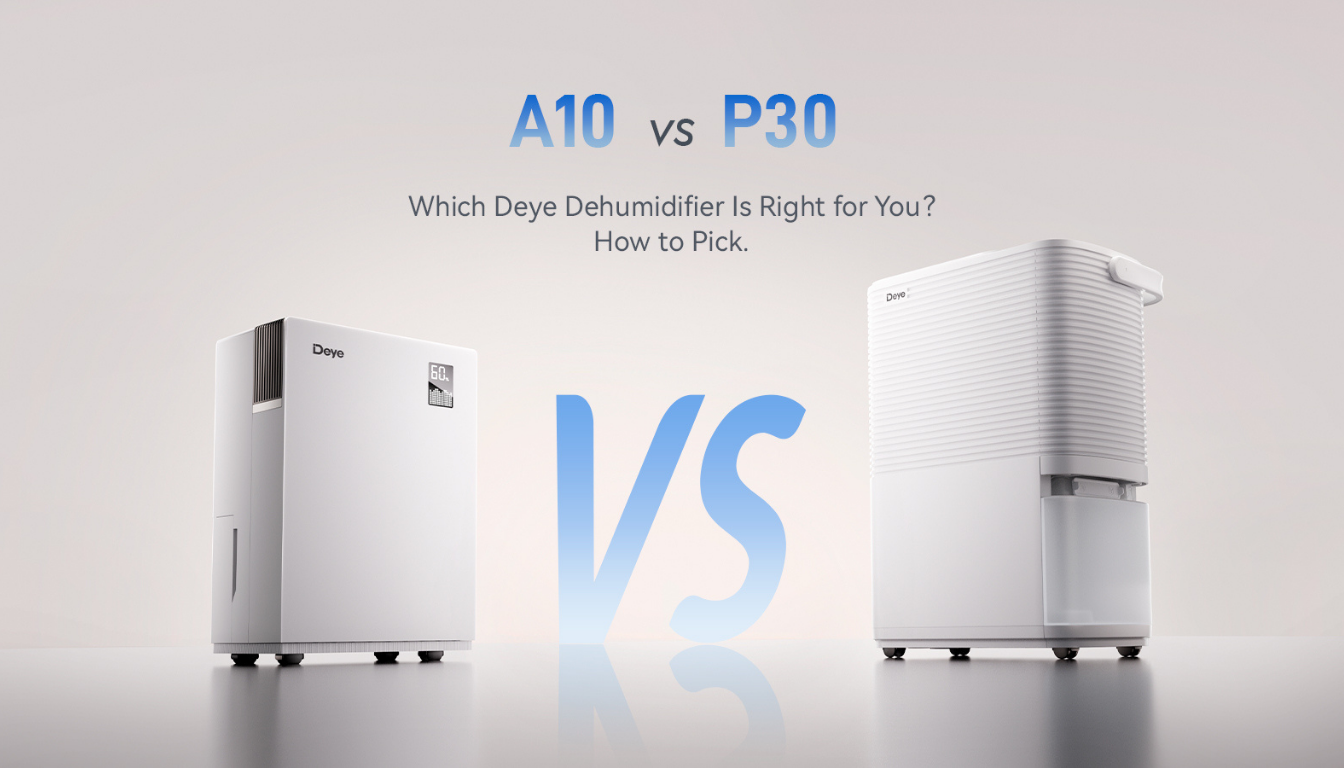 A10 vs. P30: Which Deye Dehumidifier Is Right for You?