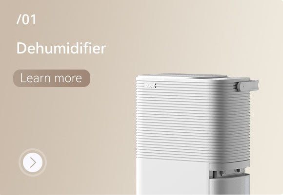 Dehumidifier